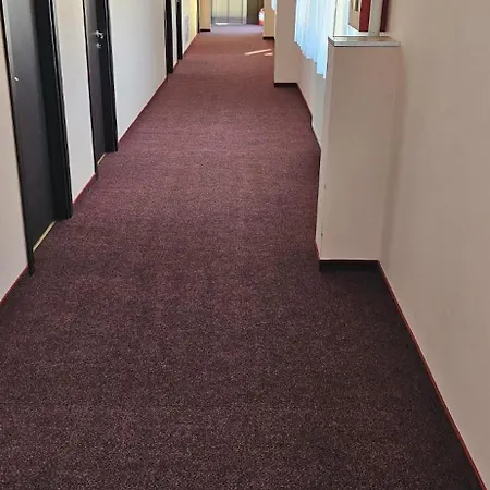 Cppi Vest Hostel Busteni
